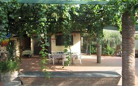 Cottage In The Green